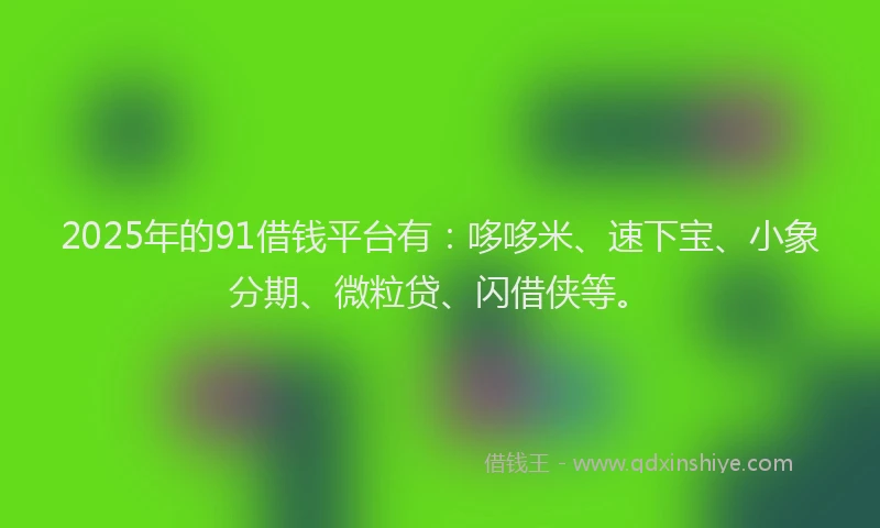 2025年的91借钱平台有：哆哆米、速下宝、小象分期、微粒贷、闪借侠等。