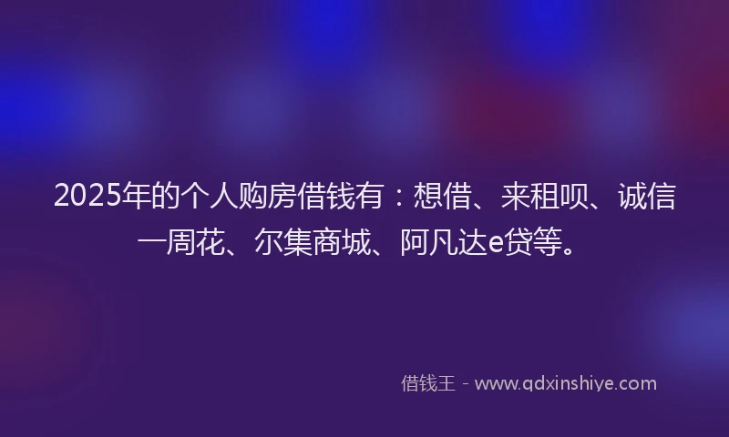 2025年的个人购房借钱有：想借、来租呗、诚信一周花、尔集商城、阿凡达e贷等。