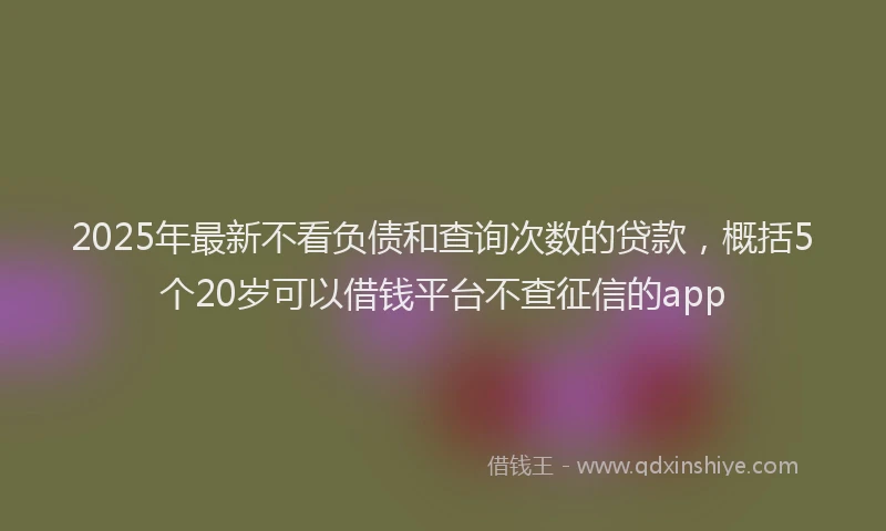 2025年最新不看负债和查询次数的贷款，概括5个20岁可以借钱平台不查征信的app
