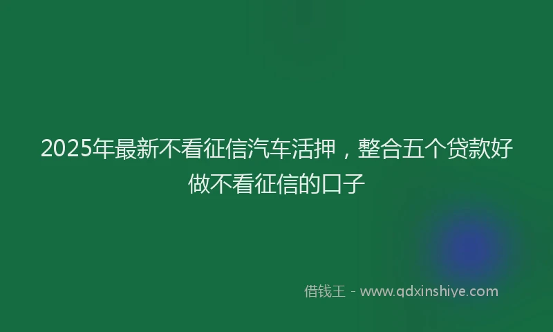 2025年最新不看征信汽车活押，整合五个贷款好做不看征信的口子