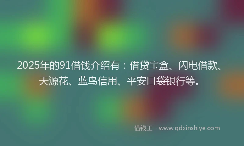 2025年的91借钱介绍有：借贷宝盒、闪电借款、天源花、蓝鸟信用、平安口袋银行等。