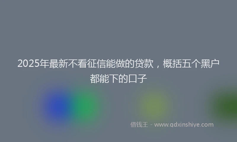 2025年最新不看征信能做的贷款，概括五个黑户都能下的口子