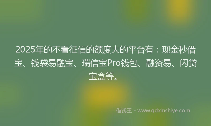 2025年的不看征信的额度大的平台有：现金秒借宝、钱袋易融宝、瑞信宝Pro钱包、融资易、闪贷宝盒等。
