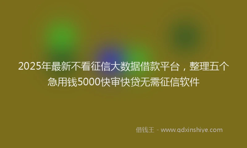 2025年最新不看征信大数据借款平台，整理五个急用钱5000快审快贷无需征信软件