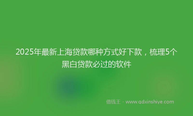 2025年最新上海贷款哪种方式好下款，梳理5个黑白贷款必过的软件