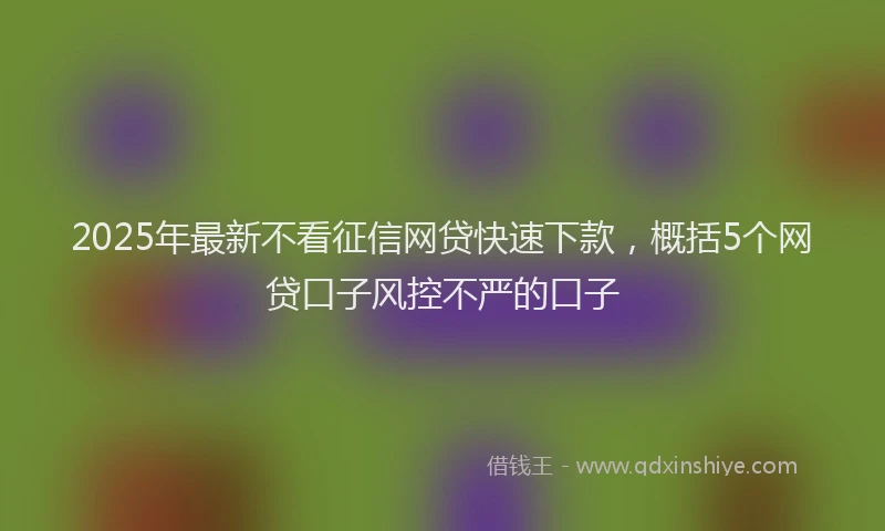 2025年最新不看征信网贷快速下款，概括5个网贷口子风控不严的口子