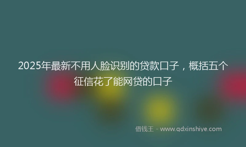2025年最新不用人脸识别的贷款口子，概括五个征信花了能网贷的口子