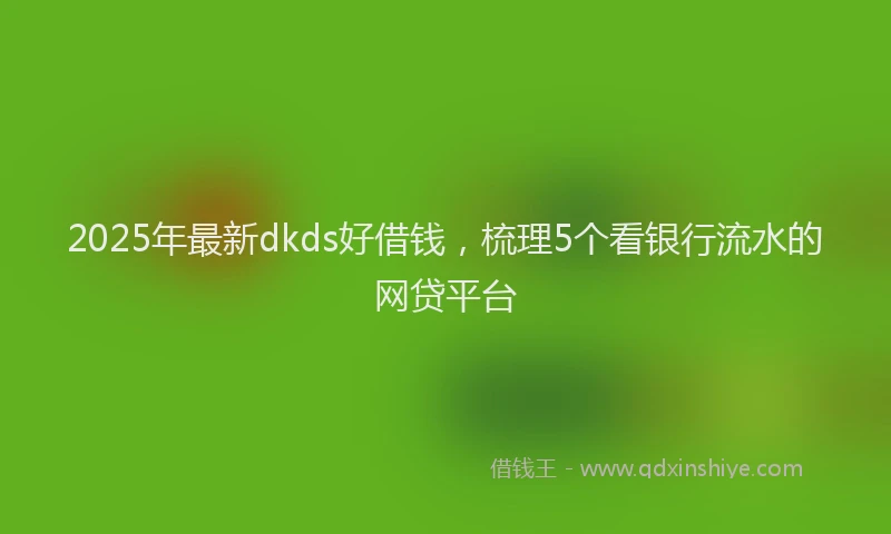 2025年最新dkds好借钱，梳理5个看银行流水的网贷平台