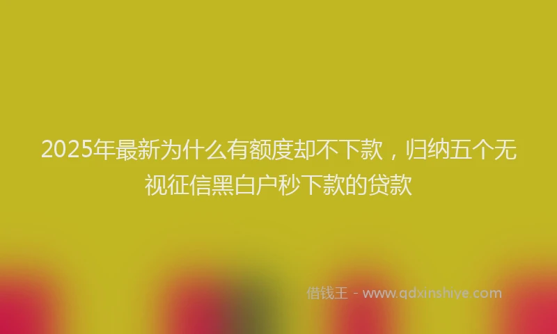 2025年最新为什么有额度却不下款，归纳五个无视征信黑白户秒下款的贷款