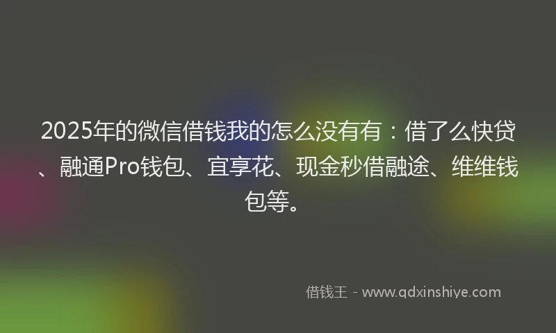 2025年的微信借钱我的怎么没有有：借了么快贷、融通Pro钱包、宜享花、现金秒借融途、维维钱包等。