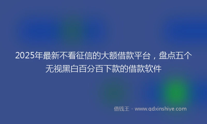 2025年最新不看征信的大额借款平台，盘点五个无视黑白百分百下款的借款软件