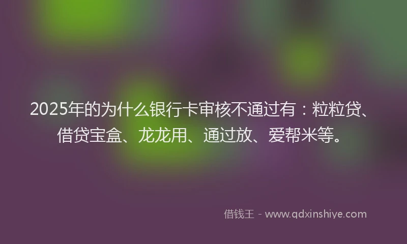2025年的为什么银行卡审核不通过有：粒粒贷、借贷宝盒、龙龙用、通过放、爱帮米等。