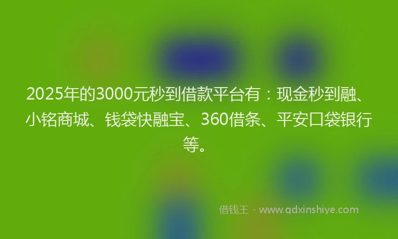 2025年的3000元秒到借款平台有：现金秒到融、小铭商城、钱袋快融宝、360借条、平安口袋银行等。