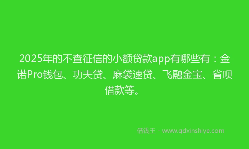 2025年的不查征信的小额贷款app有哪些有：金诺Pro钱包、功夫贷、麻袋速贷、飞融金宝、省呗借款等。