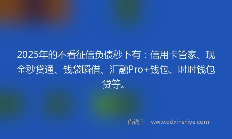 2025年的不看征信负债秒下有：信用卡管家、现金秒贷通、钱袋瞬借、汇融Pro+钱包、时时钱包贷等。