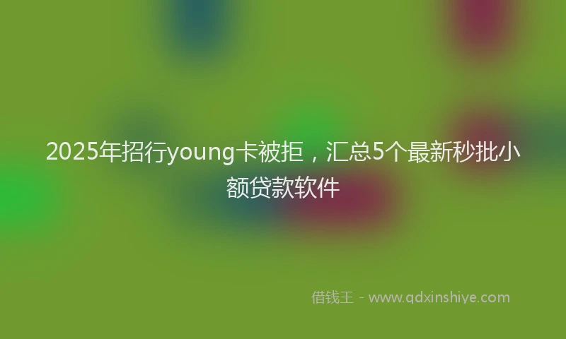 2025年招行young卡被拒，汇总5个最新秒批小额贷款软件