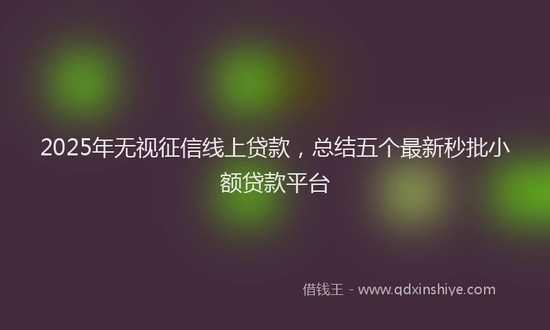2025年无视征信线上贷款，总结五个最新秒批小额贷款平台