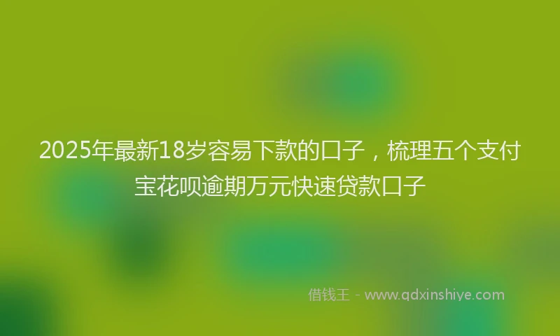 2025年最新18岁容易下款的口子，梳理五个支付宝花呗逾期万元快速贷款口子