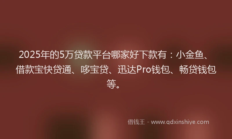 2025年的5万贷款平台哪家好下款有：小金鱼、借款宝快贷通、哆宝贷、迅达Pro钱包、畅贷钱包等。