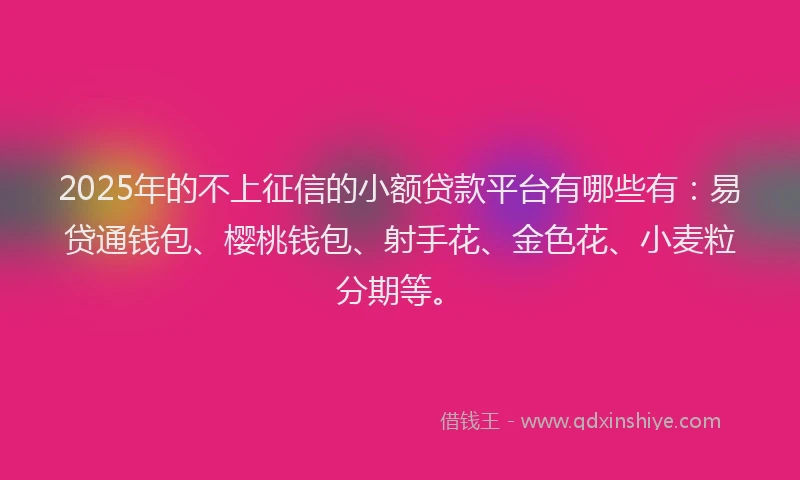 2025年的不上征信的小额贷款平台有哪些有：易贷通钱包、樱桃钱包、射手花、金色花、小麦粒分期等。