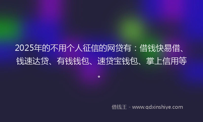 2025年的不用个人征信的网贷有：借钱快易借、钱速达贷、有钱钱包、速贷宝钱包、掌上信用等。