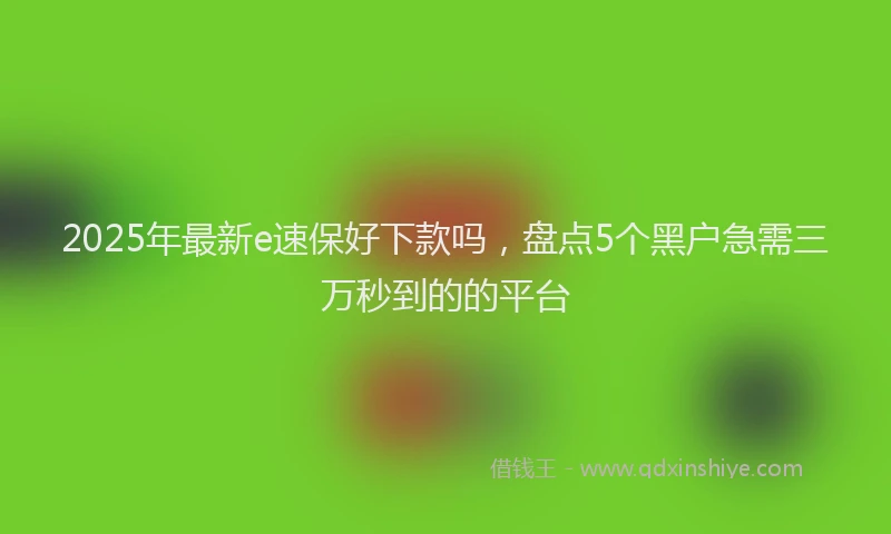 2025年最新e速保好下款吗，盘点5个黑户急需三万秒到的的平台