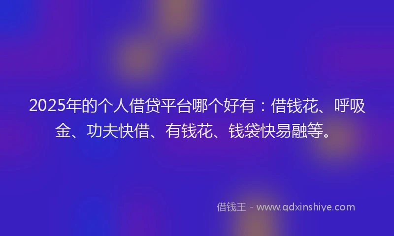 2025年的个人借贷平台哪个好有：借钱花、呼吸金、功夫快借、有钱花、钱袋快易融等。