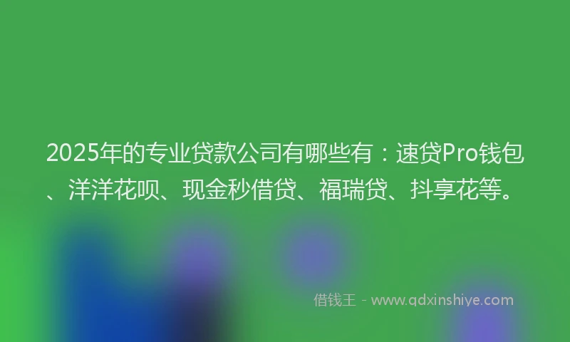 2025年的专业贷款公司有哪些有：速贷Pro钱包、洋洋花呗、现金秒借贷、福瑞贷、抖享花等。