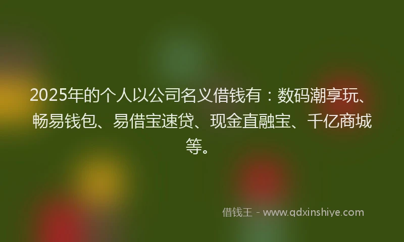 2025年的个人以公司名义借钱有：数码潮享玩、畅易钱包、易借宝速贷、现金直融宝、千亿商城等。