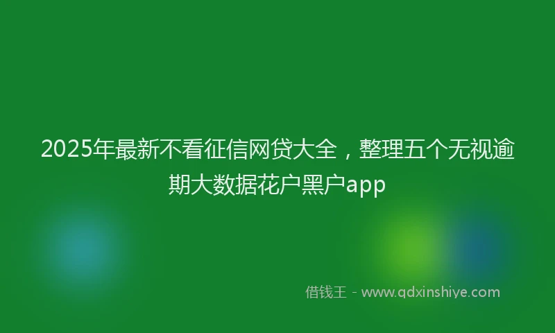 2025年最新不看征信网贷大全，整理五个无视逾期大数据花户黑户app