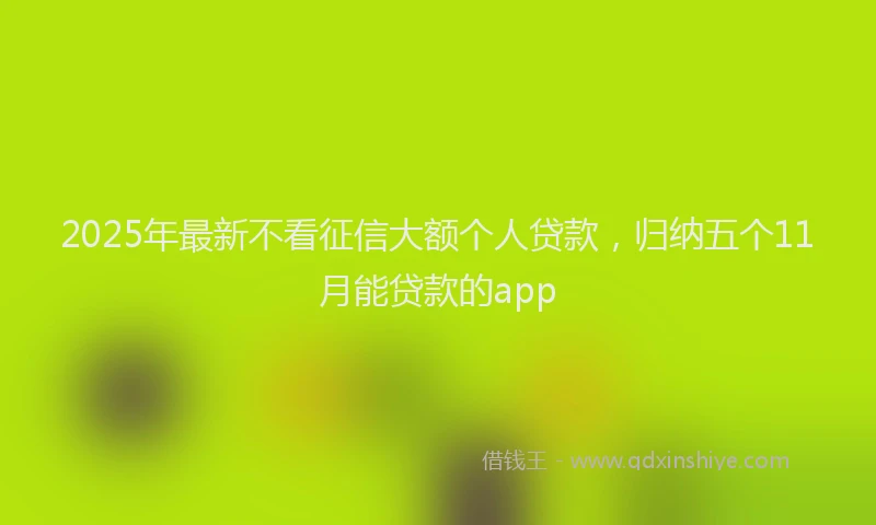 2025年最新不看征信大额个人贷款，归纳五个11月能贷款的app