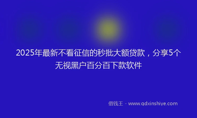 2025年最新不看征信的秒批大额贷款，分享5个无视黑户百分百下款软件