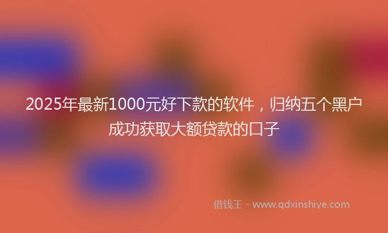 2025年最新1000元好下款的软件，归纳五个黑户成功获取大额贷款的口子