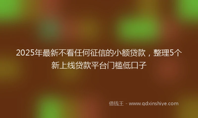 2025年最新不看任何征信的小额贷款，整理5个新上线贷款平台门槛低口子