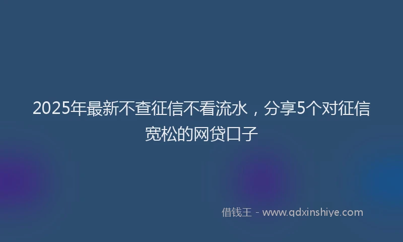 2025年最新不查征信不看流水，分享5个对征信宽松的网贷口子