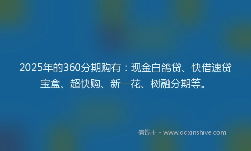 2025年的360分期购有：现金白鸽贷、快借速贷宝盒、超快购、新一花、树融分期等。