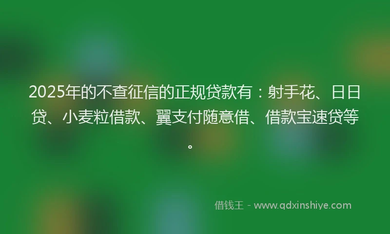 2025年的不查征信的正规贷款有：射手花、日日贷、小麦粒借款、翼支付随意借、借款宝速贷等。