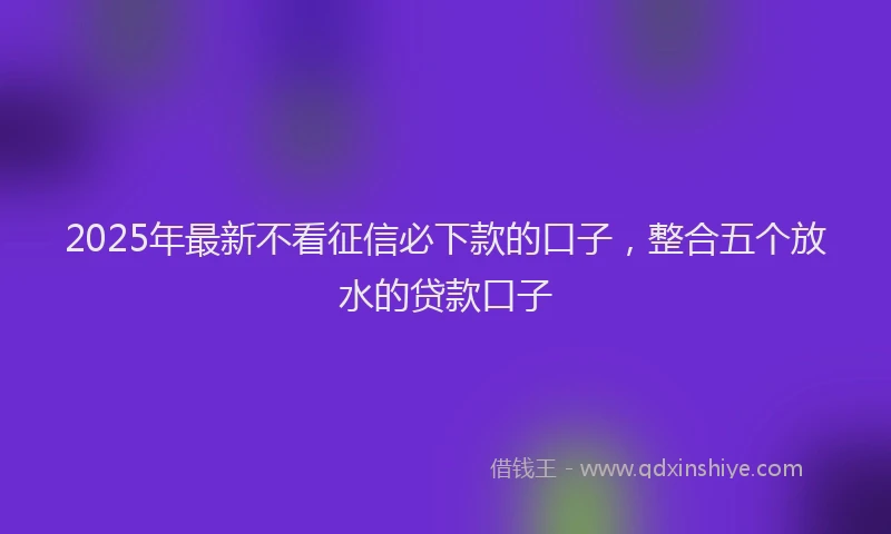 2025年最新不看征信必下款的口子，整合五个放水的贷款口子