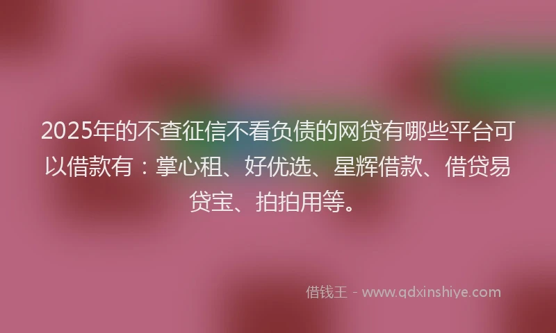 2025年的不查征信不看负债的网贷有哪些平台可以借款有：掌心租、好优选、星辉借款、借贷易贷宝、拍拍用等。