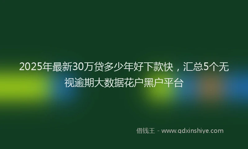 2025年最新30万贷多少年好下款快，汇总5个无视逾期大数据花户黑户平台
