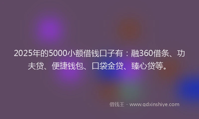 2025年的5000小额借钱口子有：融360借条、功夫贷、便捷钱包、口袋金贷、臻心贷等。