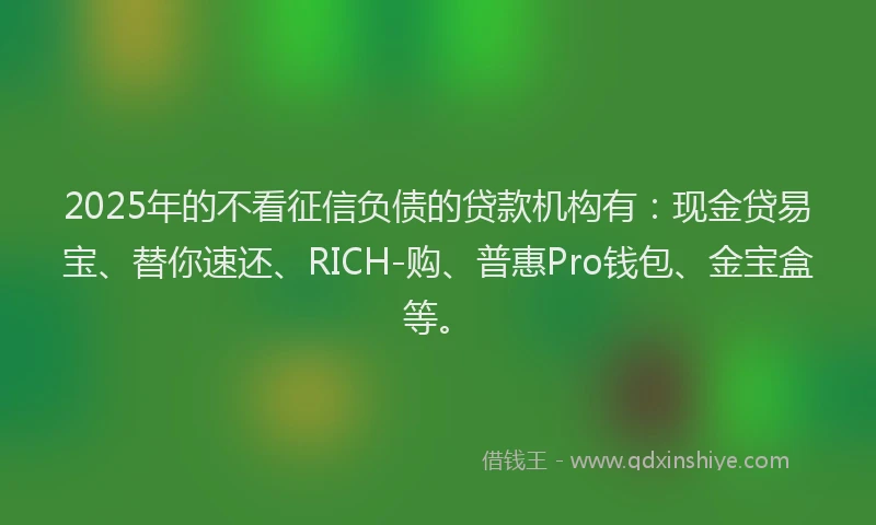 2025年的不看征信负债的贷款机构有：现金贷易宝、替你速还、RICH-购、普惠Pro钱包、金宝盒等。