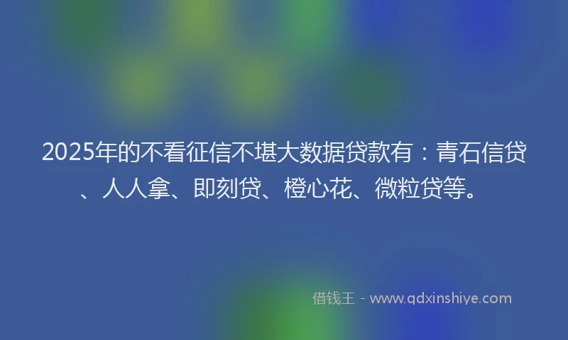 2025年的不看征信不堪大数据贷款有：青石信贷、人人拿、即刻贷、橙心花、微粒贷等。