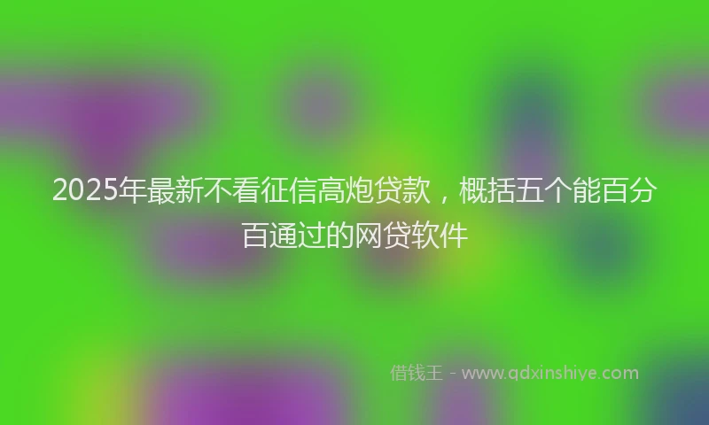 2025年最新不看征信高炮贷款，概括五个能百分百通过的网贷软件