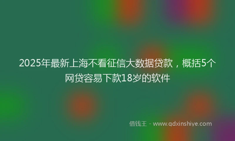 2025年最新上海不看征信大数据贷款，概括5个网贷容易下款18岁的软件