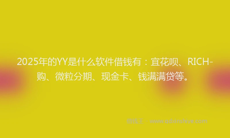 2025年的YY是什么软件借钱有：宜花呗、RICH-购、微粒分期、现金卡、钱满满贷等。