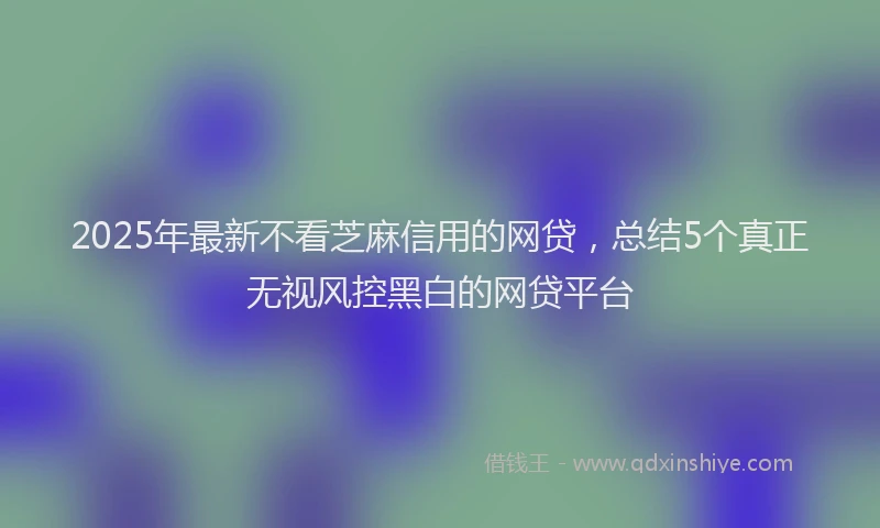 2025年最新不看芝麻信用的网贷，总结5个真正无视风控黑白的网贷平台