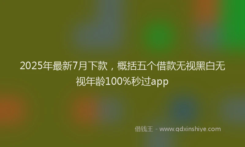 2025年最新7月下款，概括五个借款无视黑白无视年龄100%秒过app