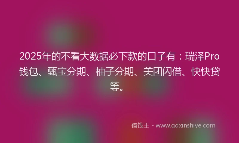 2025年的不看大数据必下款的口子有：瑞泽Pro钱包、甄宝分期、柚子分期、美团闪借、快快贷等。