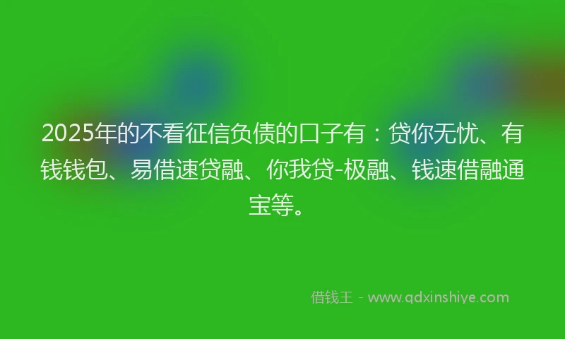2025年的不看征信负债的口子有：贷你无忧、有钱钱包、易借速贷融、你我贷-极融、钱速借融通宝等。